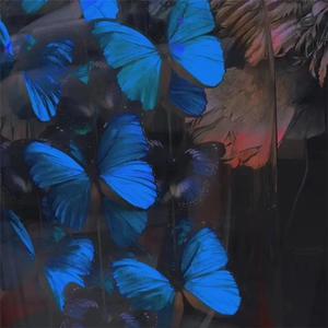 欧美后入式动态
