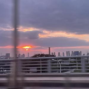 欧美后入式动态
